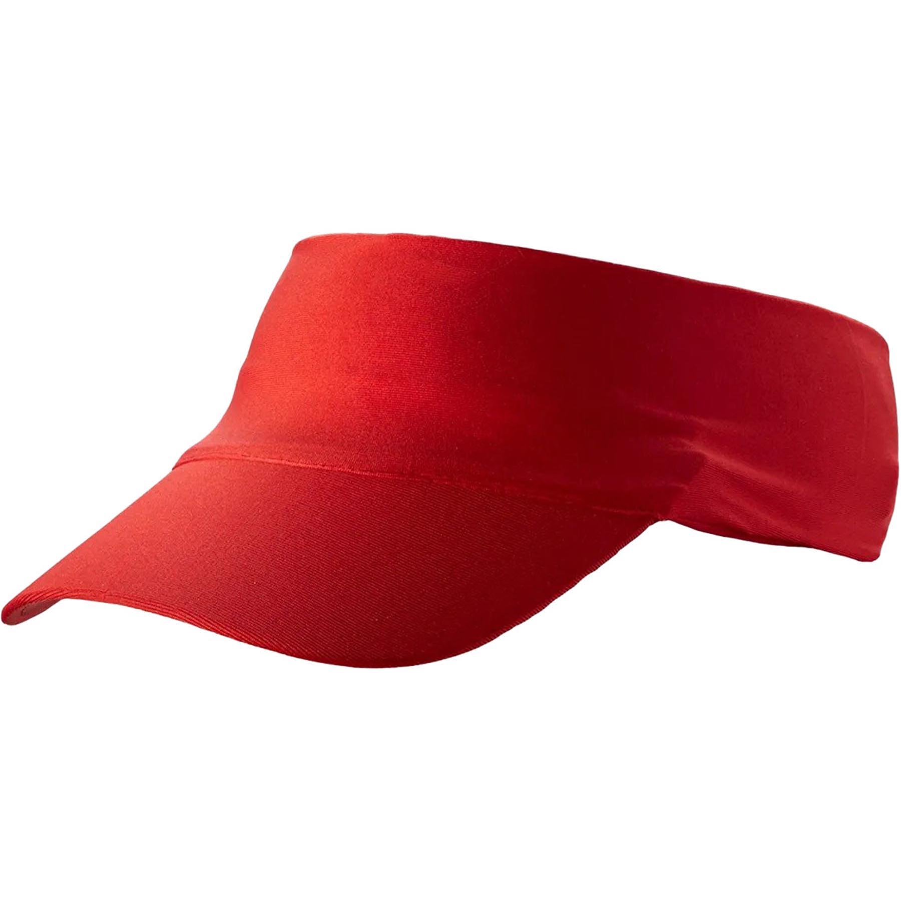 FlexShade Visor 2