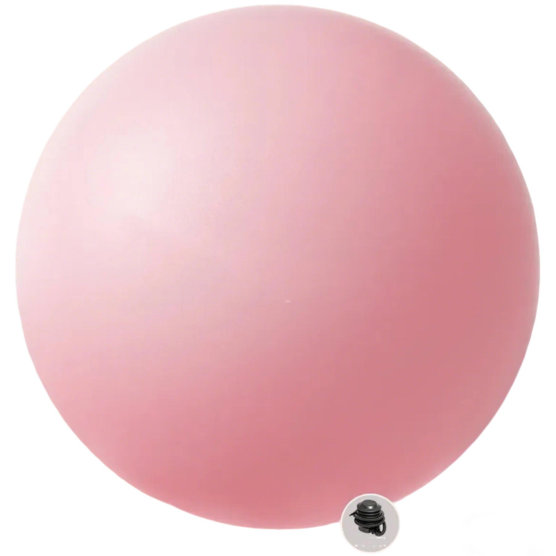 HarmonyFlex Exercise Ball 2