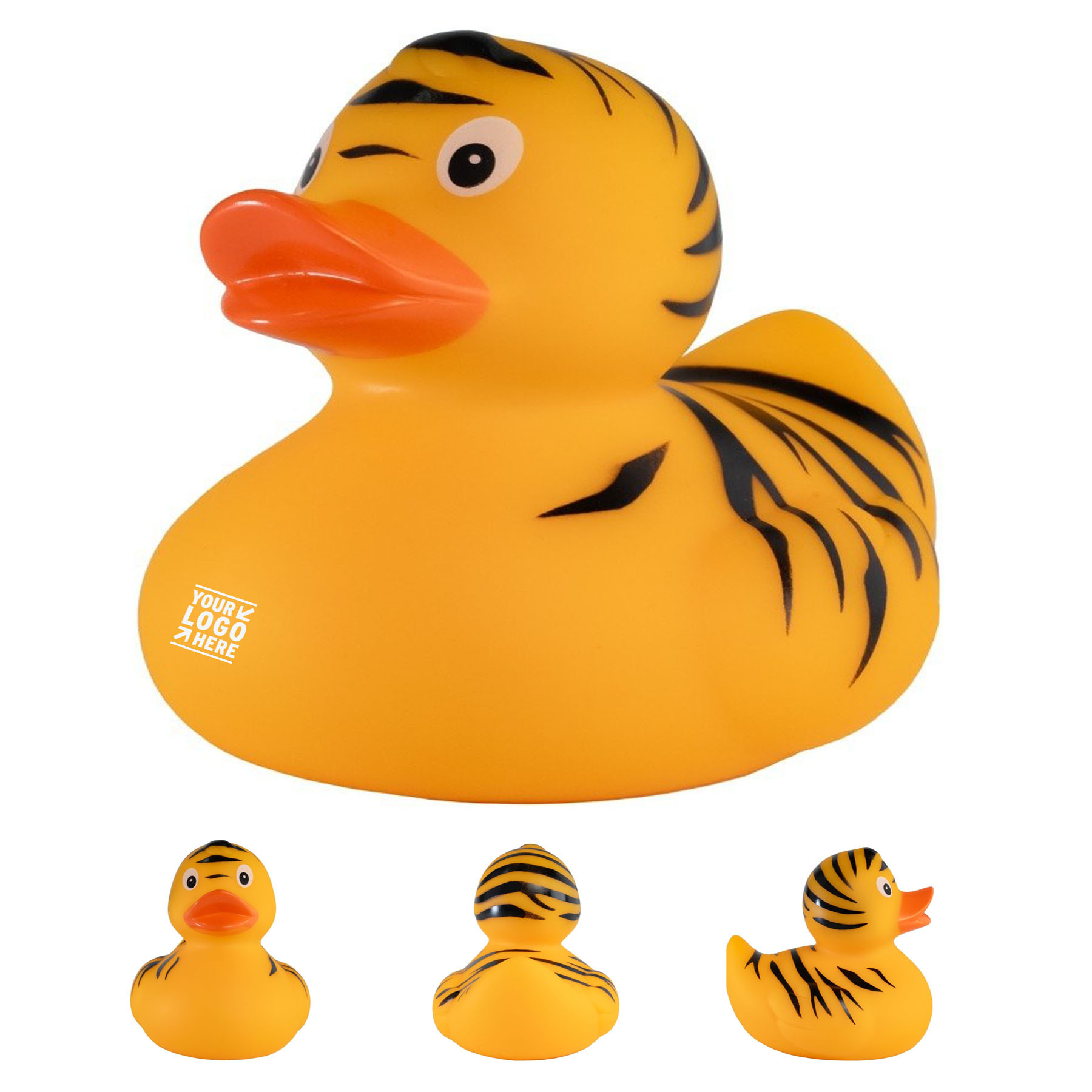 Wild Stripe Duck