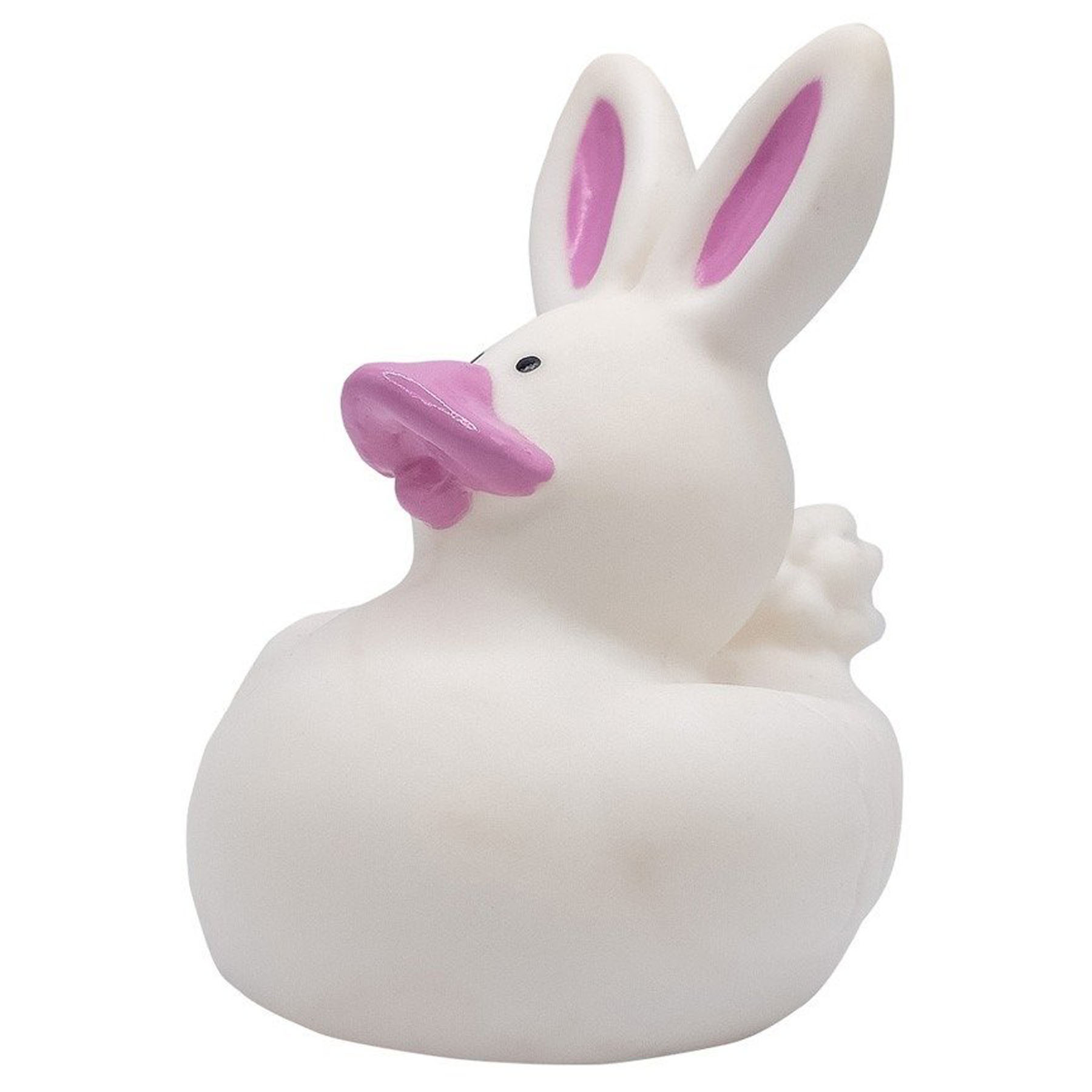 Whimsical Rabbit Duck 2