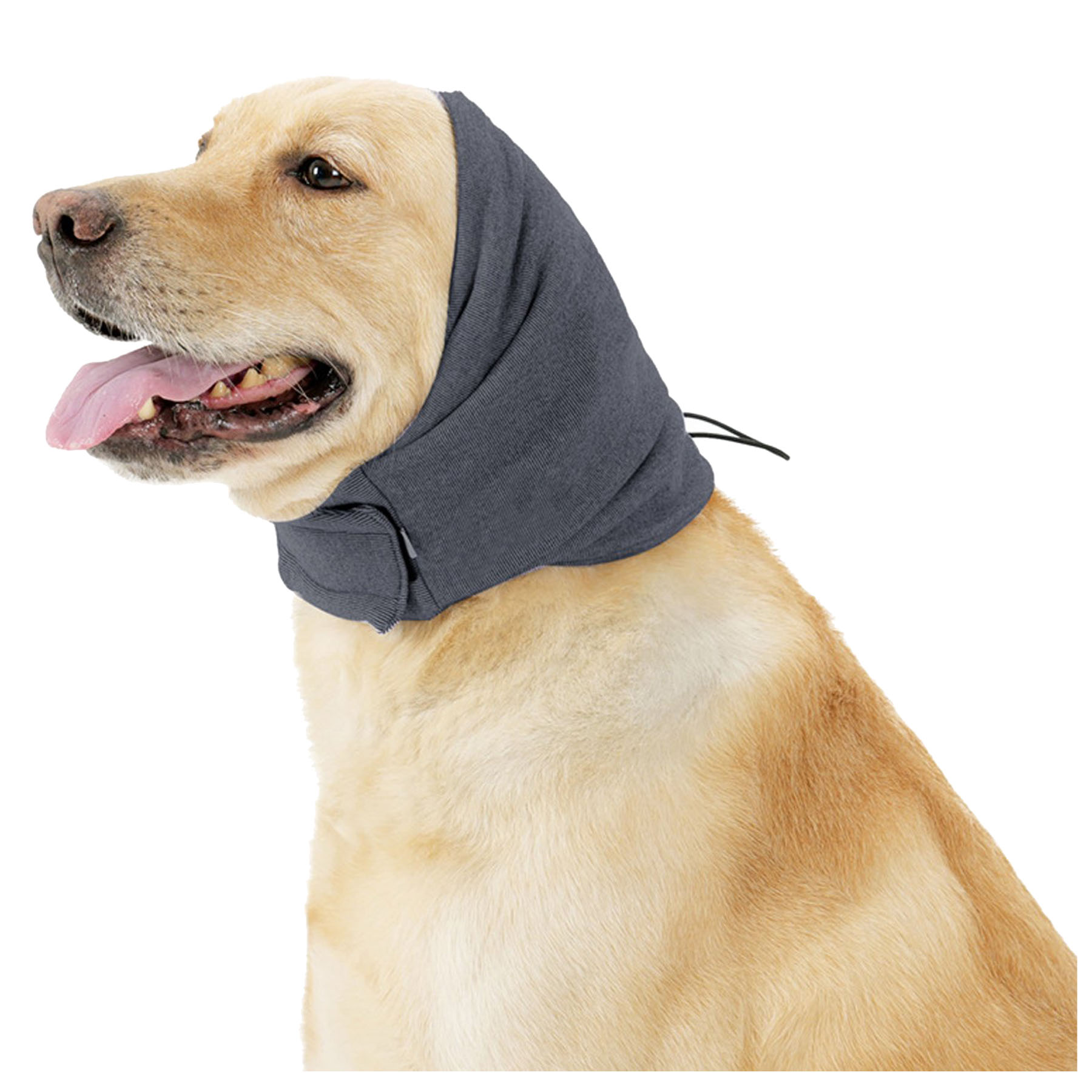 Canine Ear Comfort Wrap 2