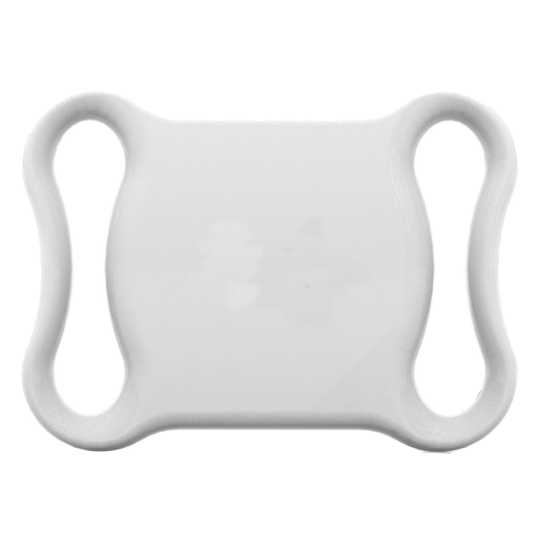 Compact Pet Location Monitor 2
