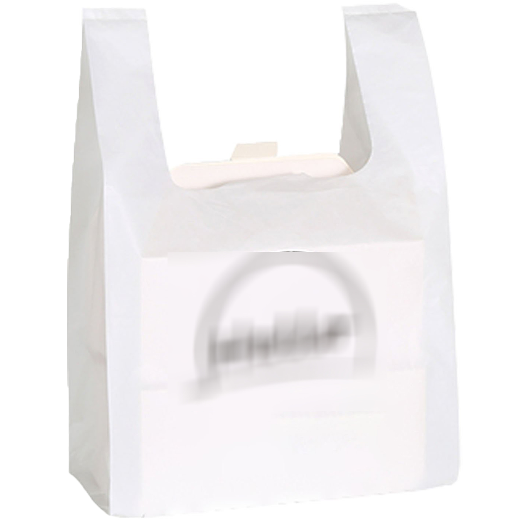 Eco-Friendly Biodegradable Shopping Bag 2