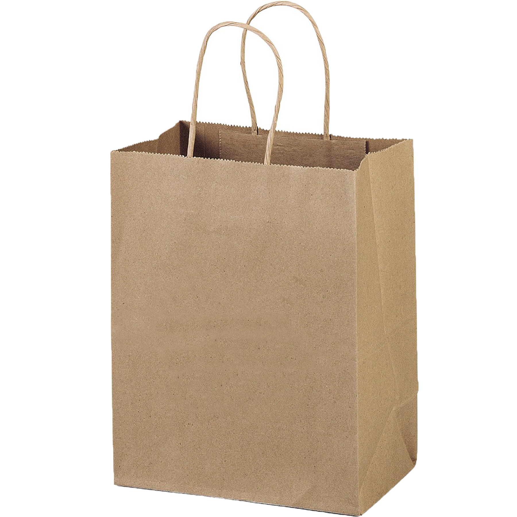 Eco-Friendly Paper Shopping Bag 2