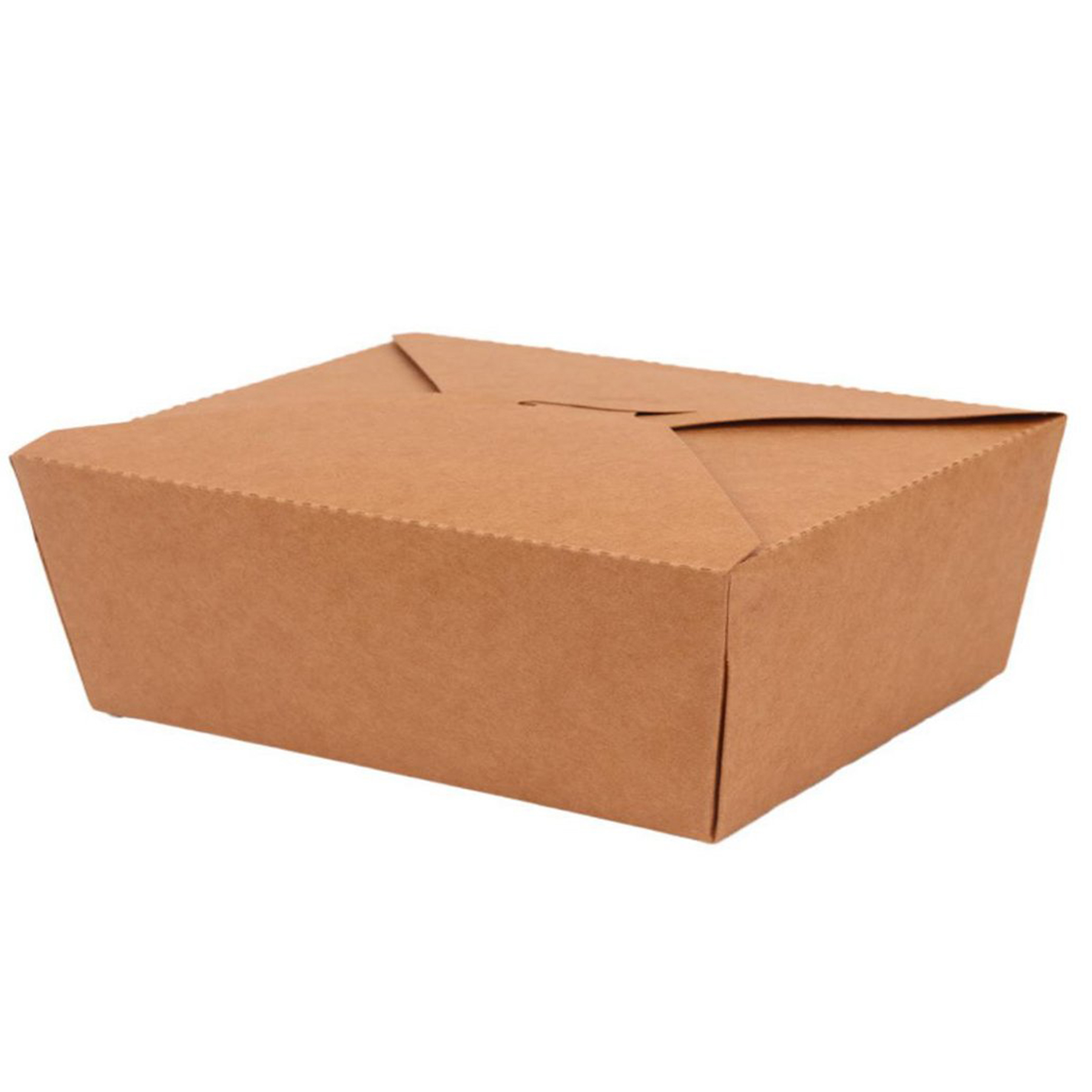 Eco-Friendly Paper Lunch Bag 2