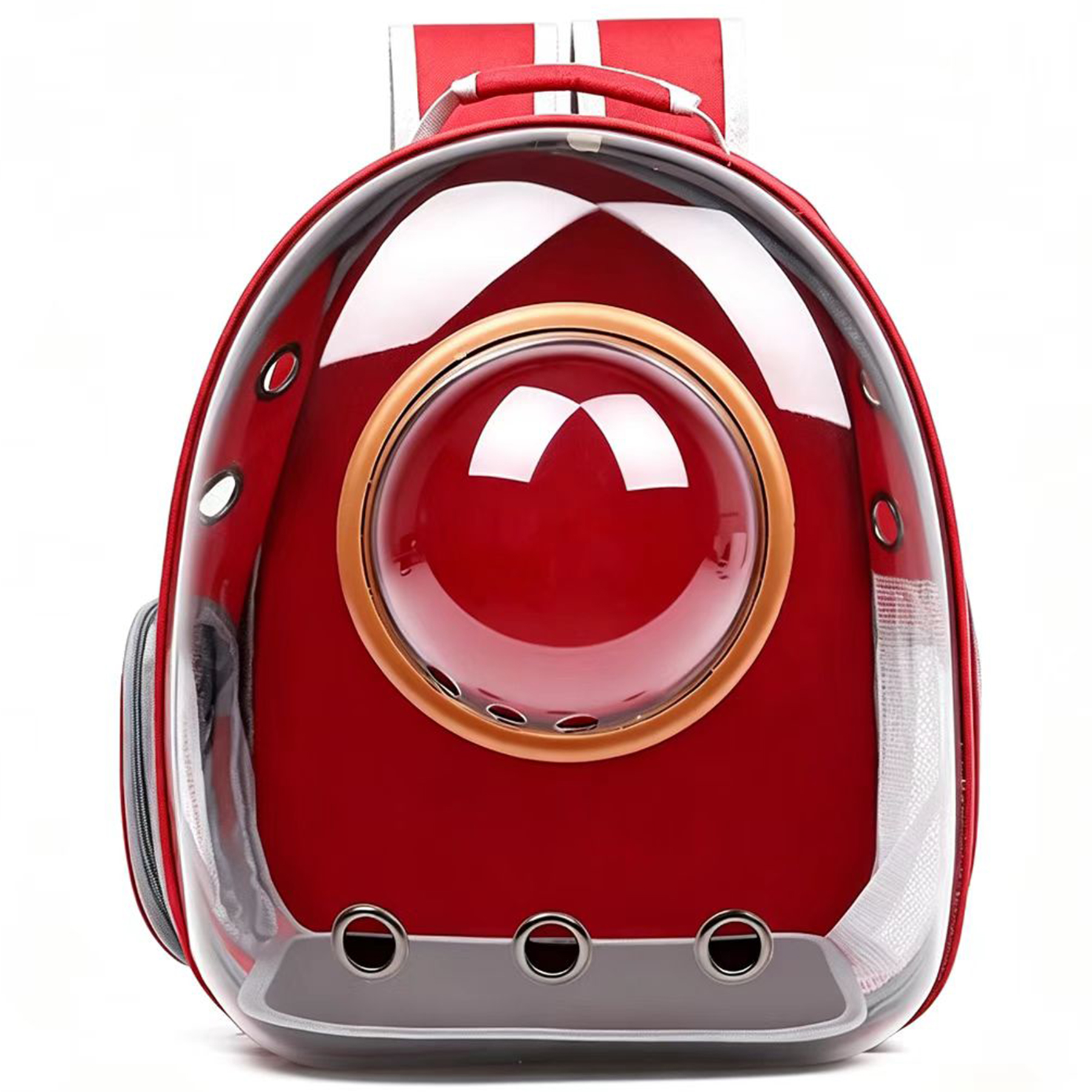 Portable Pet Companion Bag 2