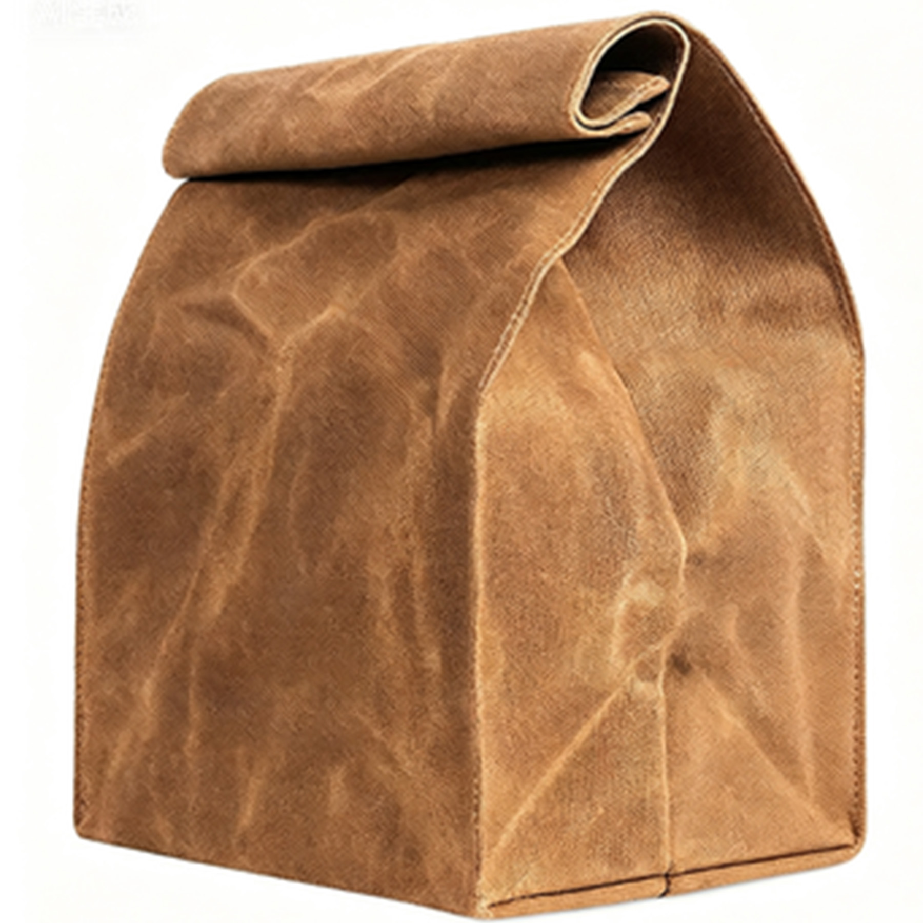 Classic Canvas Lunch Tote 2