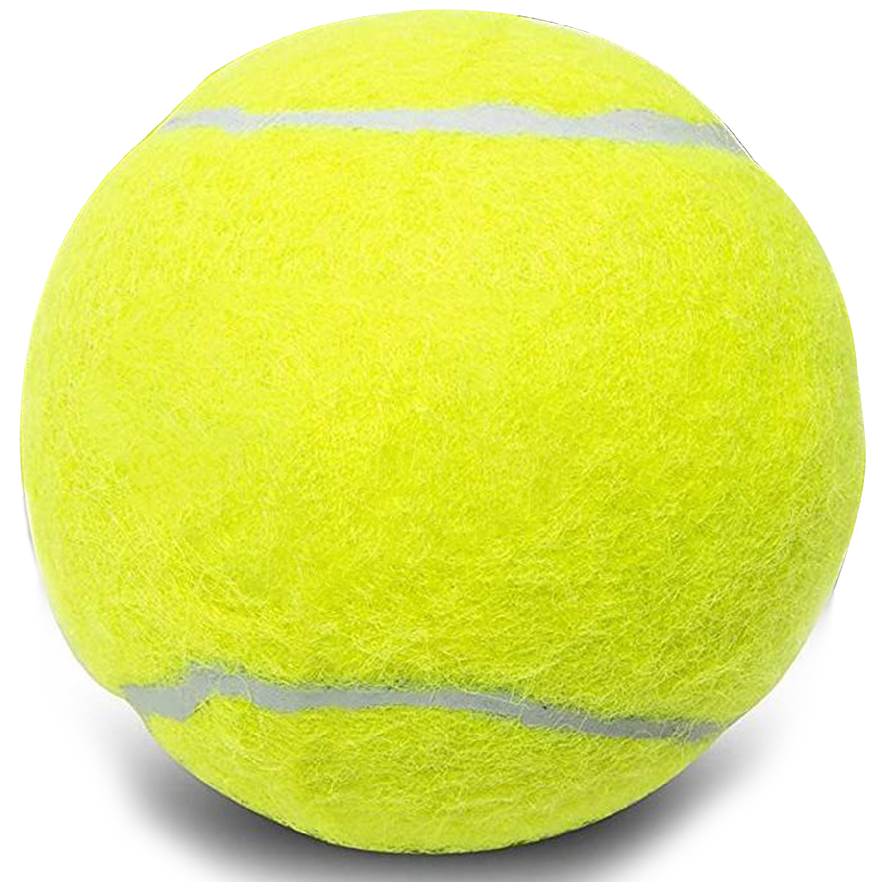 Bounce Buddy Pet Play Ball 2