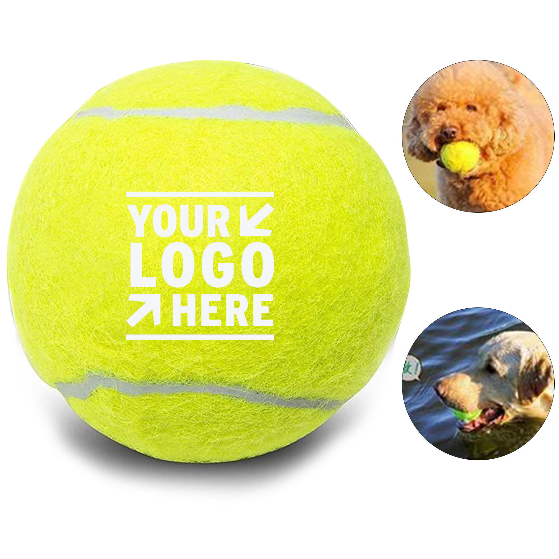Bounce Buddy Pet Play Ball
