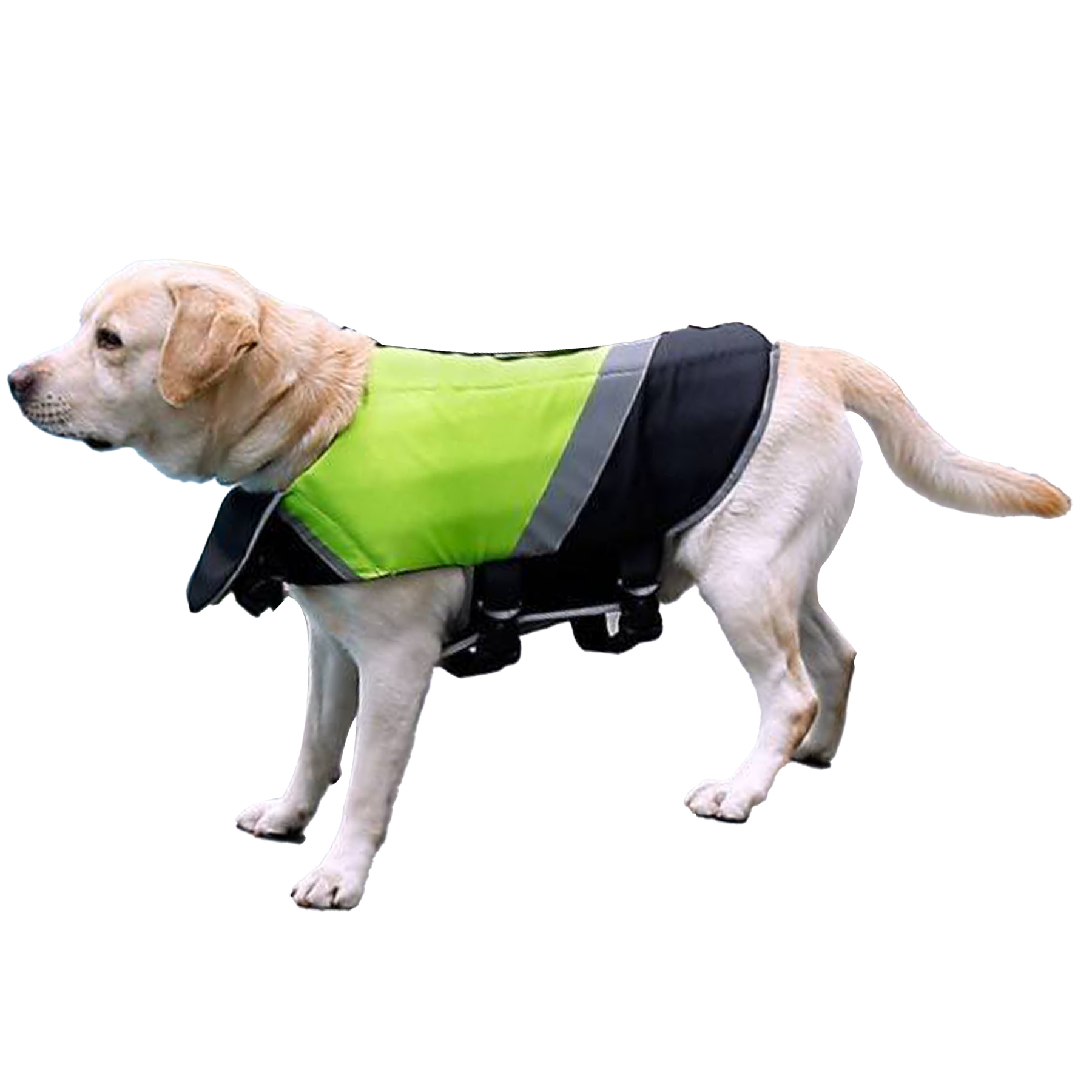 AquaGuard Pet Flotation Vest 2