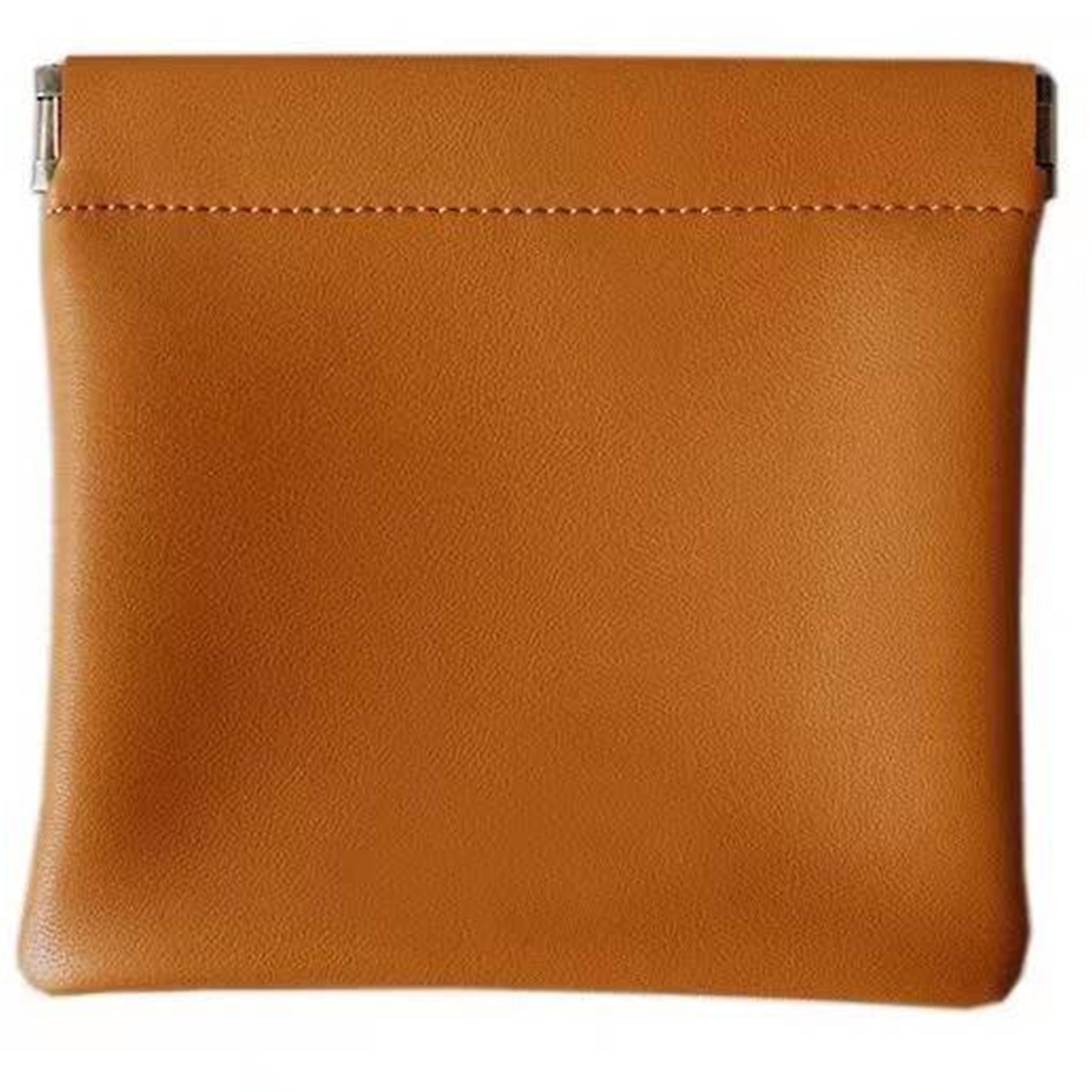 Earbuds Protective Pouch 2