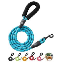 Canine Comfort Lead