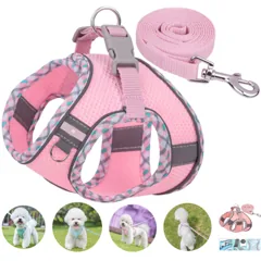 Comfort-Fit Reflective Pet Harness and Leash Set