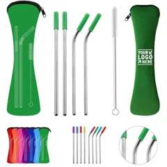 Eco-Friendly Reusable Metal Straw Kit